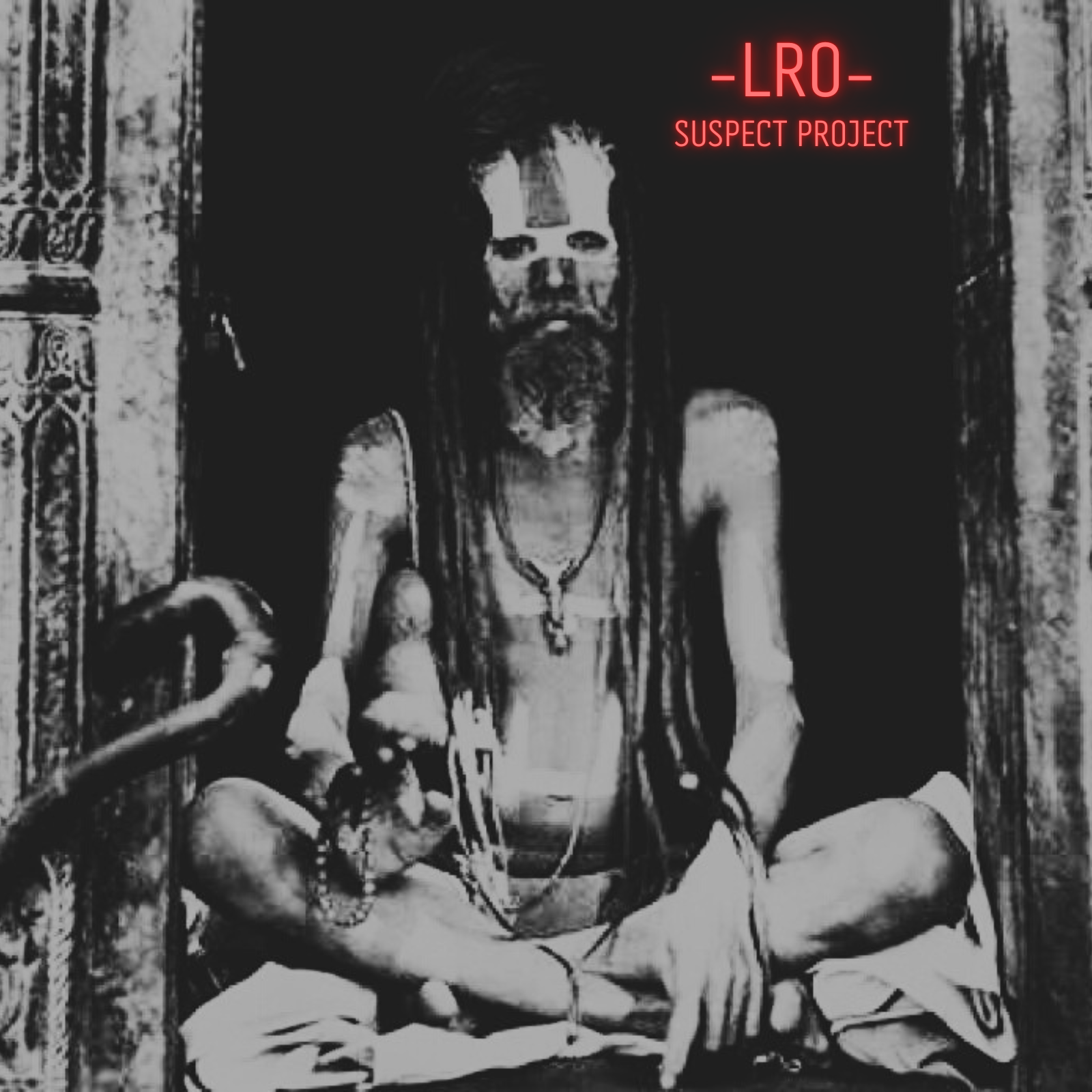 LRO - Suspect Project